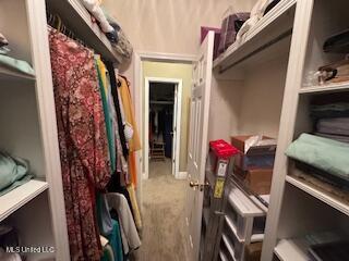 5237 Highway 43 Camden, MS 39045 - Photo 30 of 62 Walkin 1 a