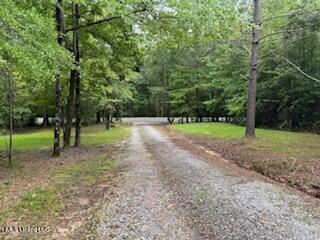 5237 Highway 43 Camden, MS 39045 - Photo 54 of 62 Grounds photo 9