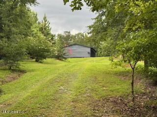 5237 Highway 43 Camden, MS 39045 - Photo 56 of 62 grounds photo 8