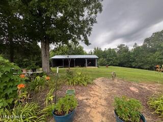 5237 Highway 43 Camden, MS 39045 - Photo 57 of 62 Shed 1