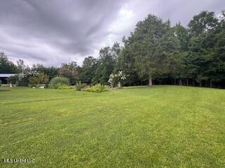 5237 Highway 43 Camden, MS 39045 - Photo 58 of 62 Grounds photo 6