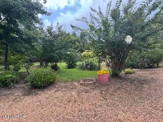 5237 Highway 43 Camden, MS 39045 - Photo 62 of 62 grounds photo 4