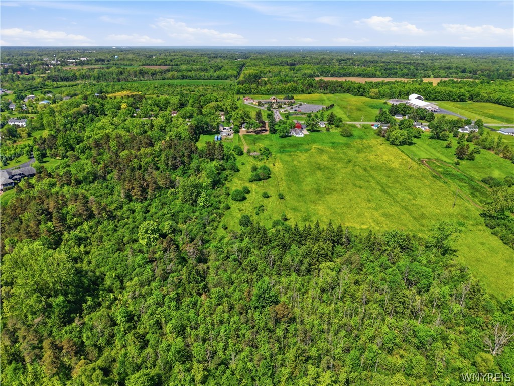 1581 Bowen Road Elma, NY 14059 - Photo 46 of 49