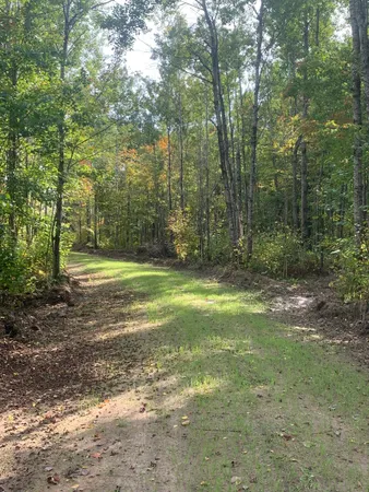 $85,000 | 4 Dairyland Wi 54830, Danbury, WI 54830