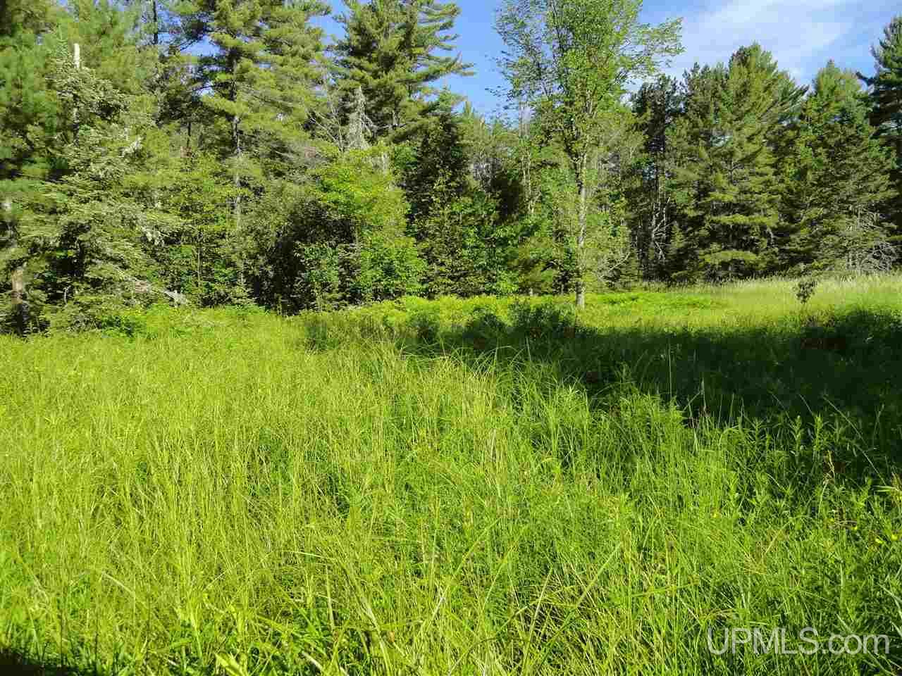 3 3 Mile Road Bruce Crossing, MI 49912 - Photo 4 of 12