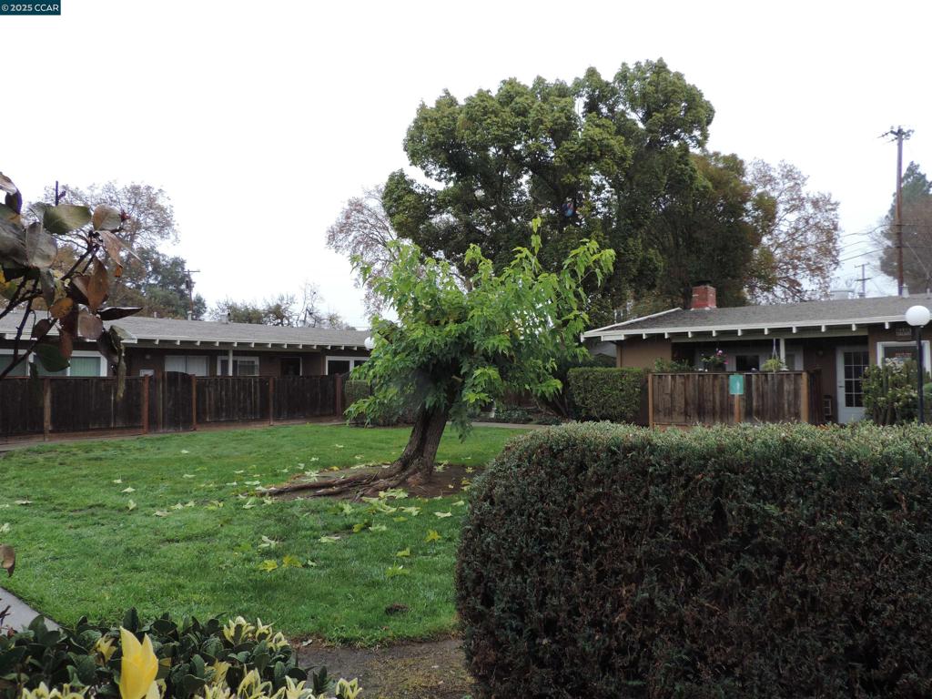 1919 Ygnacio Valley Road Walnut Creek, CA 94598 - Photo 23 of 35 a view of backyard with green space