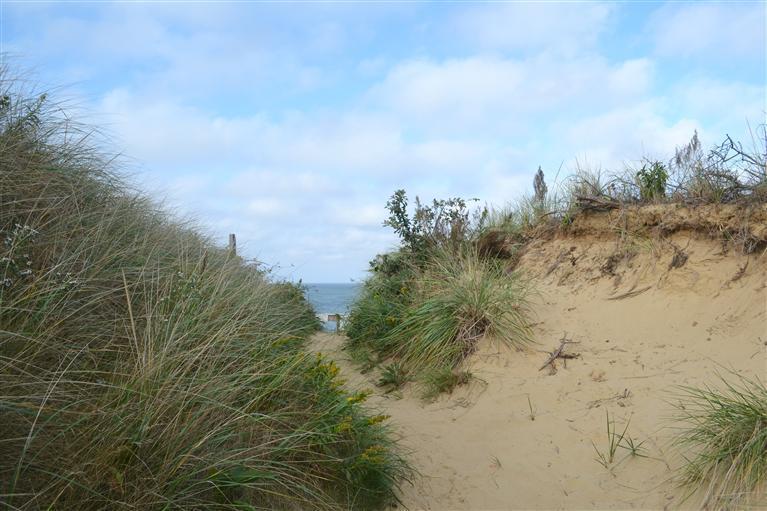 460 Summit Avenue Eastham, MA 02642 - Photo 18 of 25 a view of a field with trees in the background