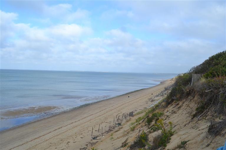 460 Summit Avenue Eastham, MA 02642 - Photo 19 of 25 a view of a dry yard with wooden fence