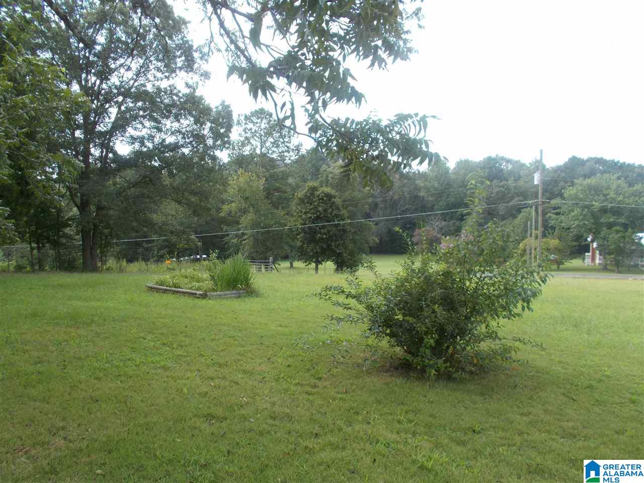 849 Fish Hatchery Road Eastaboga, AL 36260 - Photo 41 of 45