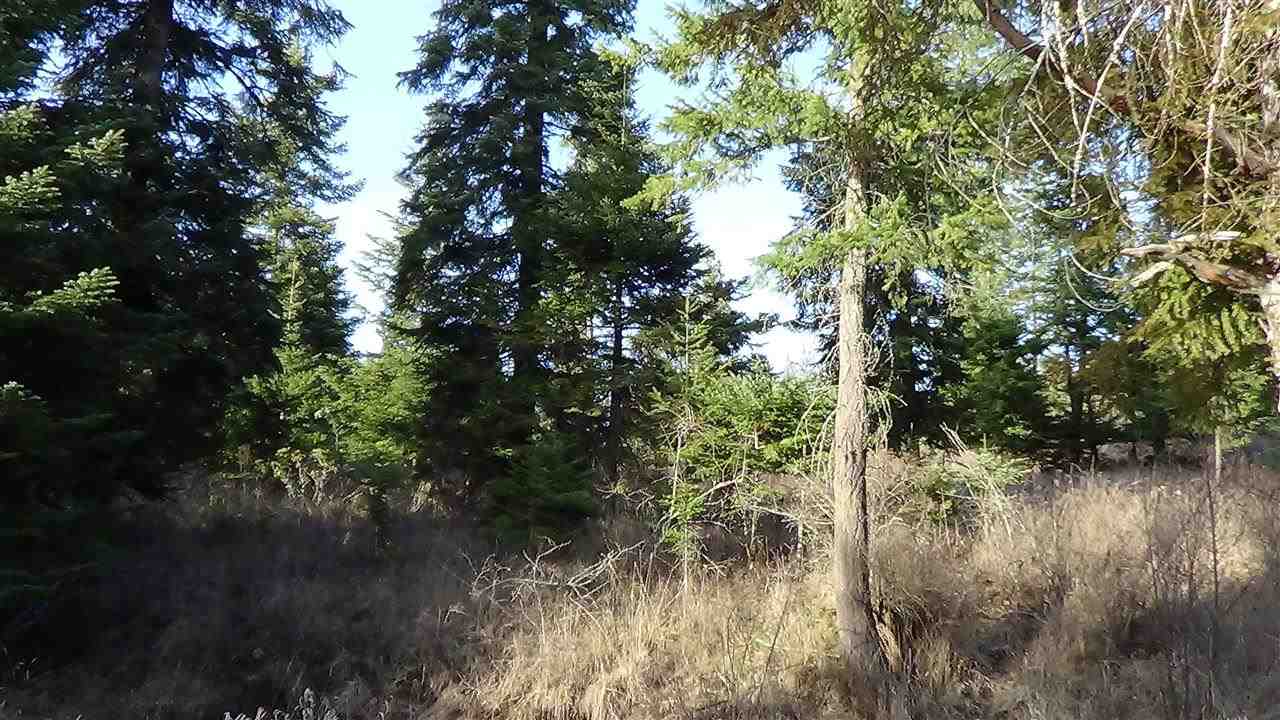 15511 East Blanchard Road Elk, WA 99009 - Photo 18 of 19 Gallery Image 18