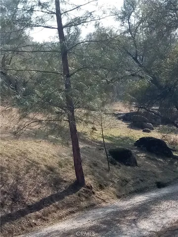 $30,000 | -lot 856 Deep Forest Drive, Coarsegold, CA 93614