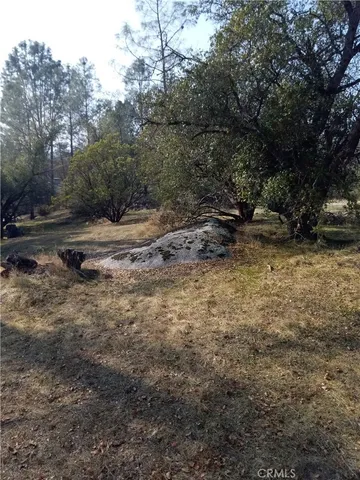 $30,000 | -lot 856 Deep Forest Drive, Coarsegold, CA 93614