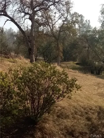 $30,000 | -lot 856 Deep Forest Drive, Coarsegold, CA 93614