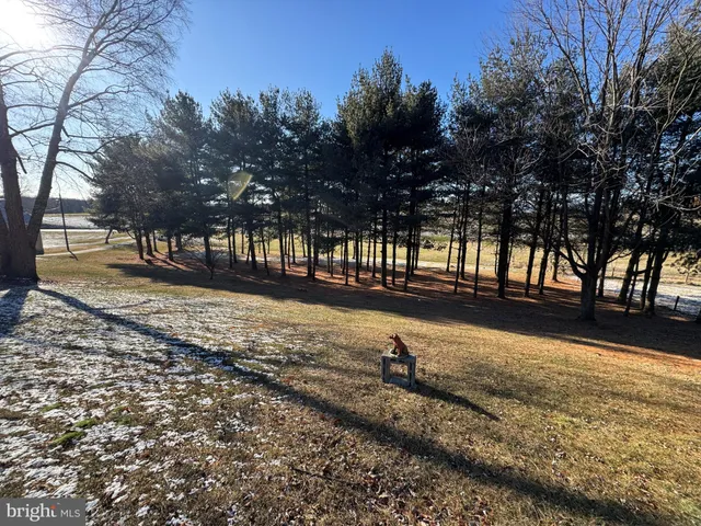 a view of a yard with trees