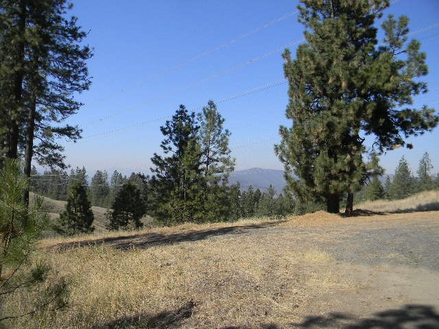 10700 North Dorset Road Spokane, WA 99208 - Photo 1 of 6 Gallery Image 1