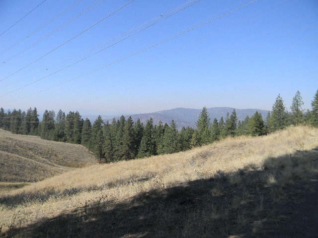 10700 North Dorset Road Spokane, WA 99208 - Photo 2 of 6 Gallery Image 2