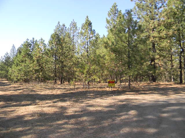 10700 North Dorset Road Spokane, WA 99208 - Photo 3 of 6 Gallery Image 3