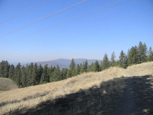 10700 North Dorset Road Spokane, WA 99208 - Photo 4 of 6 Gallery Image 4