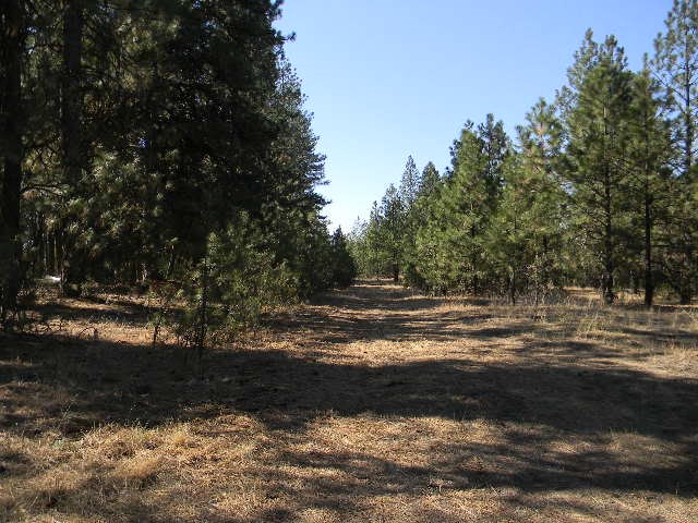 10700 North Dorset Road Spokane, WA 99208 - Photo 5 of 6 Gallery Image 5