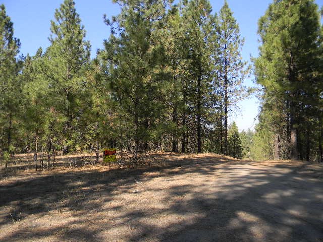 10700 North Dorset Road Spokane, WA 99208 - Photo 6 of 6 Gallery Image 6