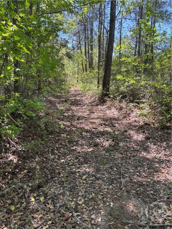 0 East 5th Street Rincon, GA 31326 - Photo 2 of 2
