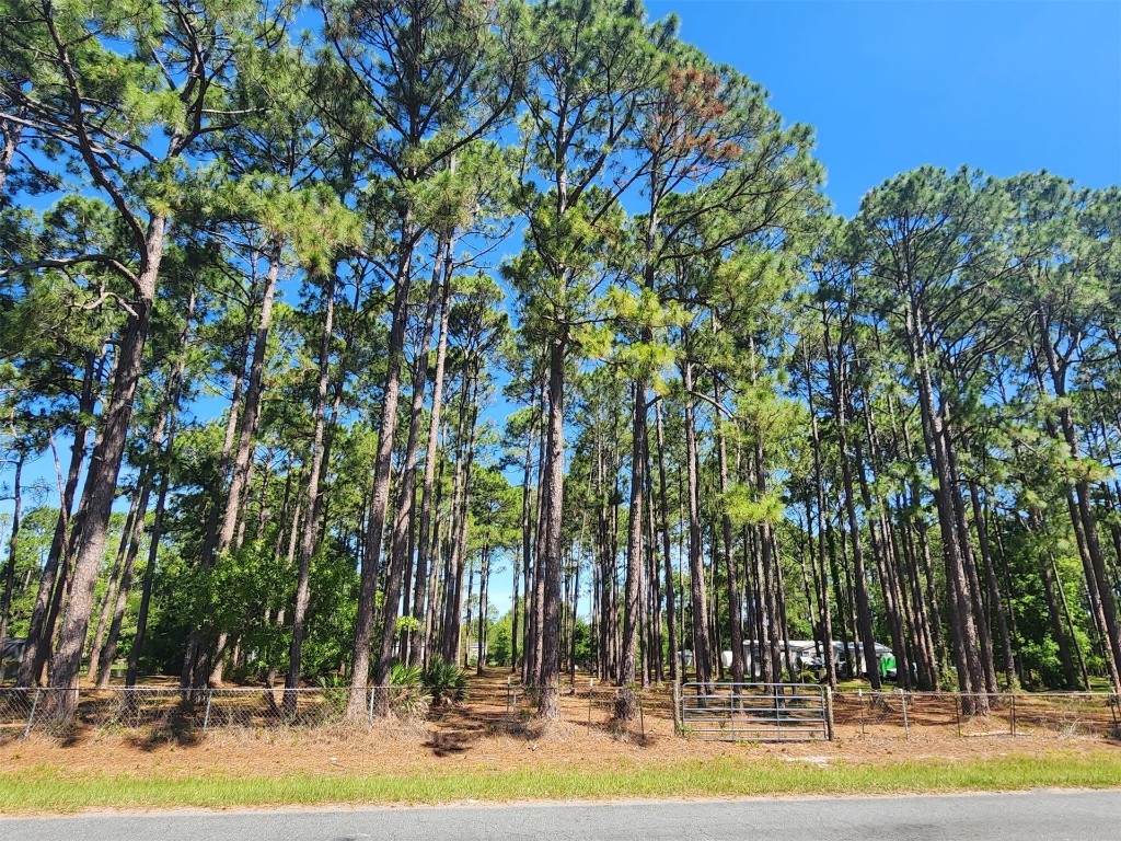 0 Clearwater Road Fernandina Beach, FL 32034 - Photo 2 of 4 a view of swimming pool with lawn chairs and plants