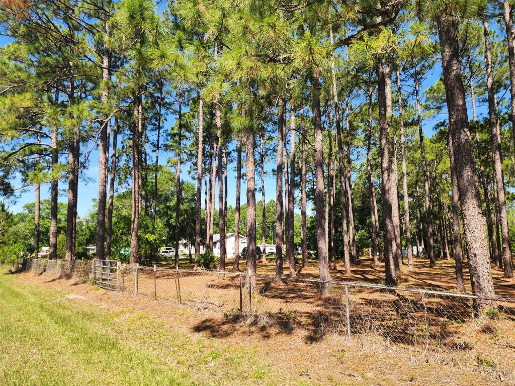 0 Clearwater Road Fernandina Beach, FL 32034 - Photo 3 of 4 a view of outdoor space with trees