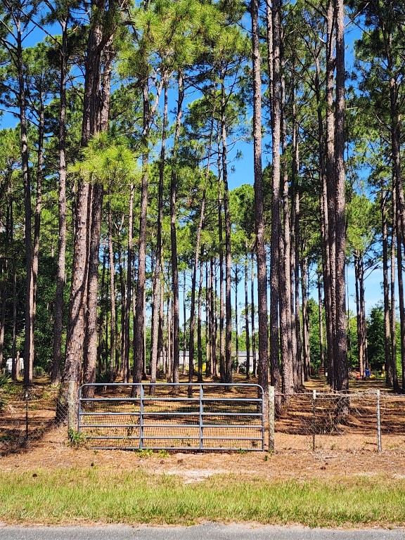 0 Clearwater Road Fernandina Beach, FL 32034 - Photo 4 of 4 a view of outdoor space with street view