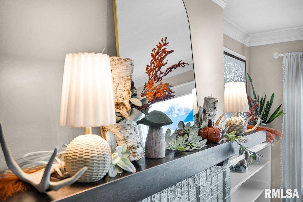 218 North Fourth Avenue Morton, IL 61550 - Photo 8 of 48