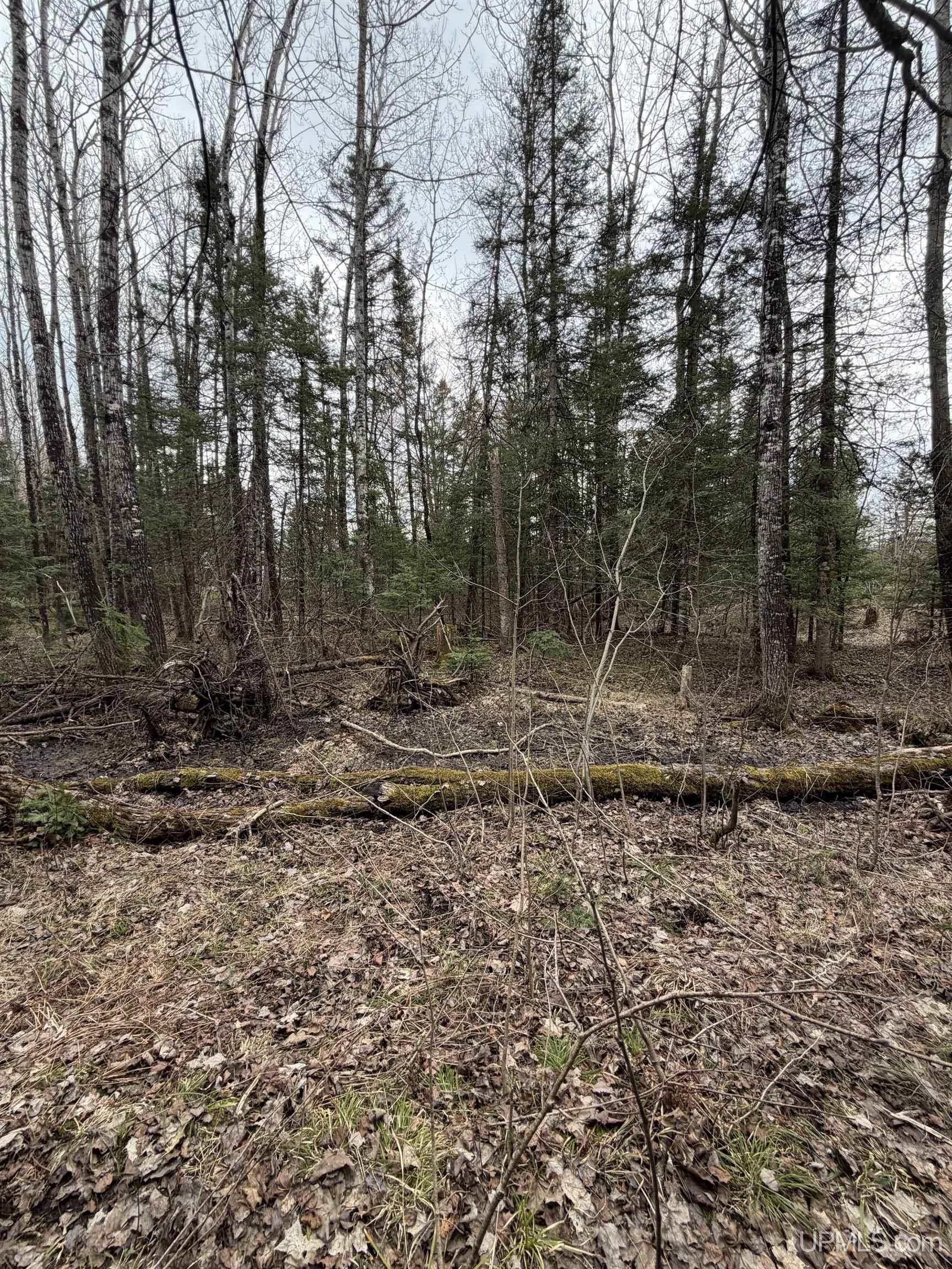 41 Rd Trenary Mi 49891 Road Rapid River, MI 49878 - Photo 7 of 10