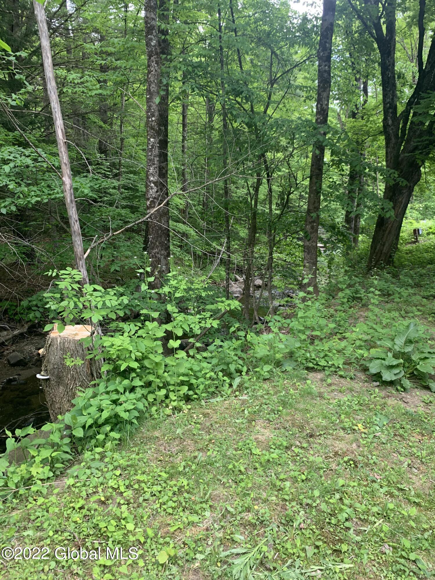 274 Athol Road Athol, NY 12810 - Photo 9 of 10 IMG_5933