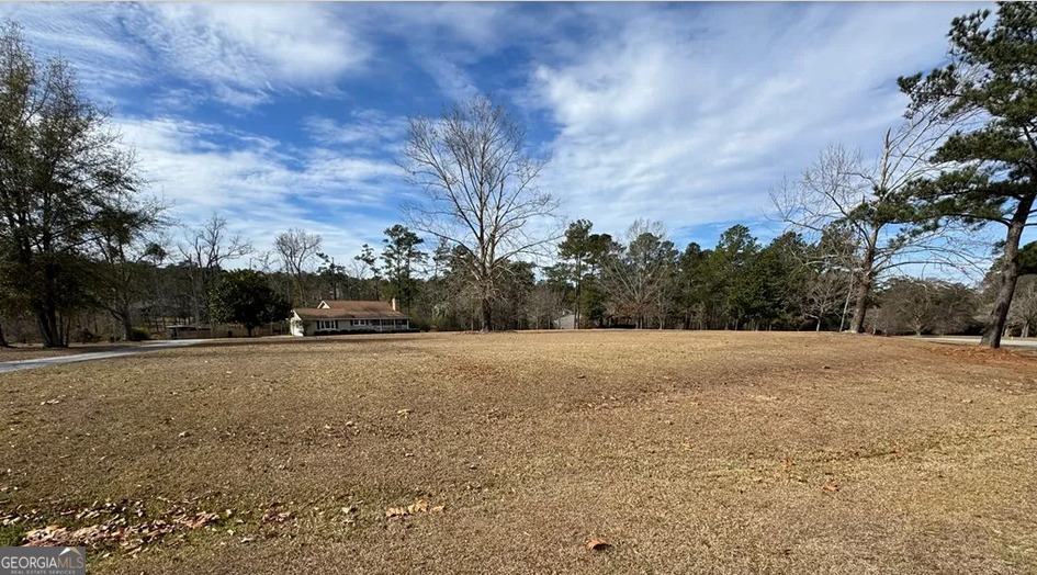 218 Hidden Springs Road Climax, GA 39834 - Photo 3 of 35 a view of large space with trees in the background