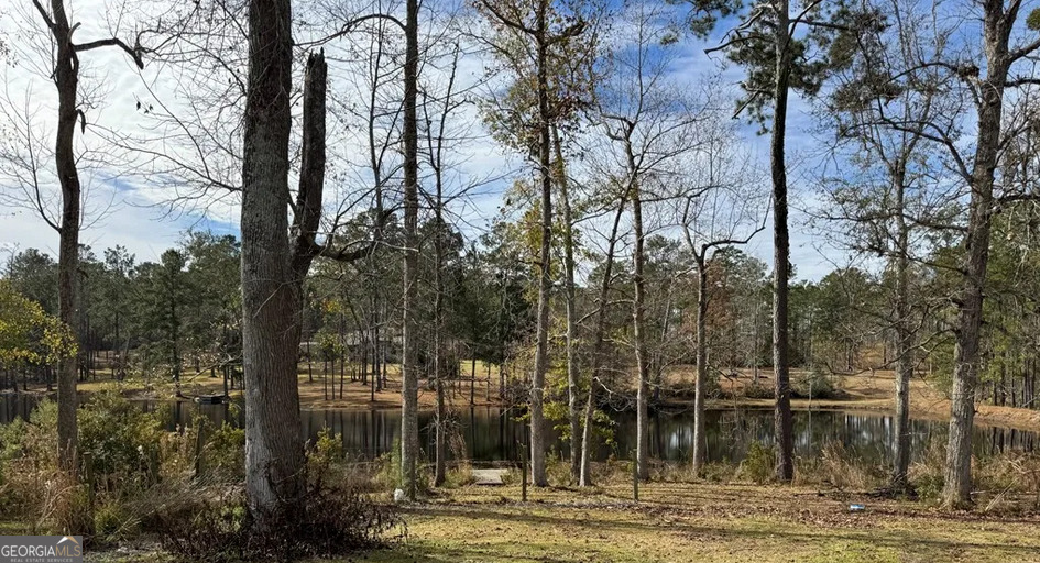 218 Hidden Springs Road Climax, GA 39834 - Photo 33 of 35 a view of a city view