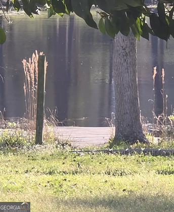 218 Hidden Springs Road Climax, GA 39834 - Photo 35 of 35