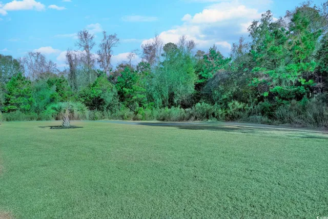 $429,000 | 2475 Copper Crk Loop, Longs, SC 29568