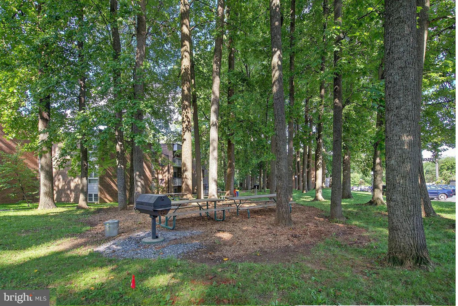 2305 Greenery Lane, Unit 1023 Silver Spring, MD 20906 - Photo 17 of 23 a view of a park with large trees