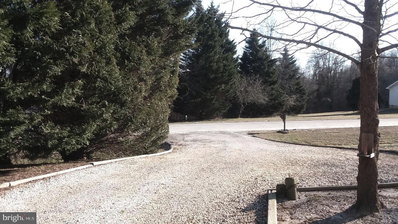 25626 Meadow Road Worton, MD 21678 - Photo 3 of 26 DRIVEWAY