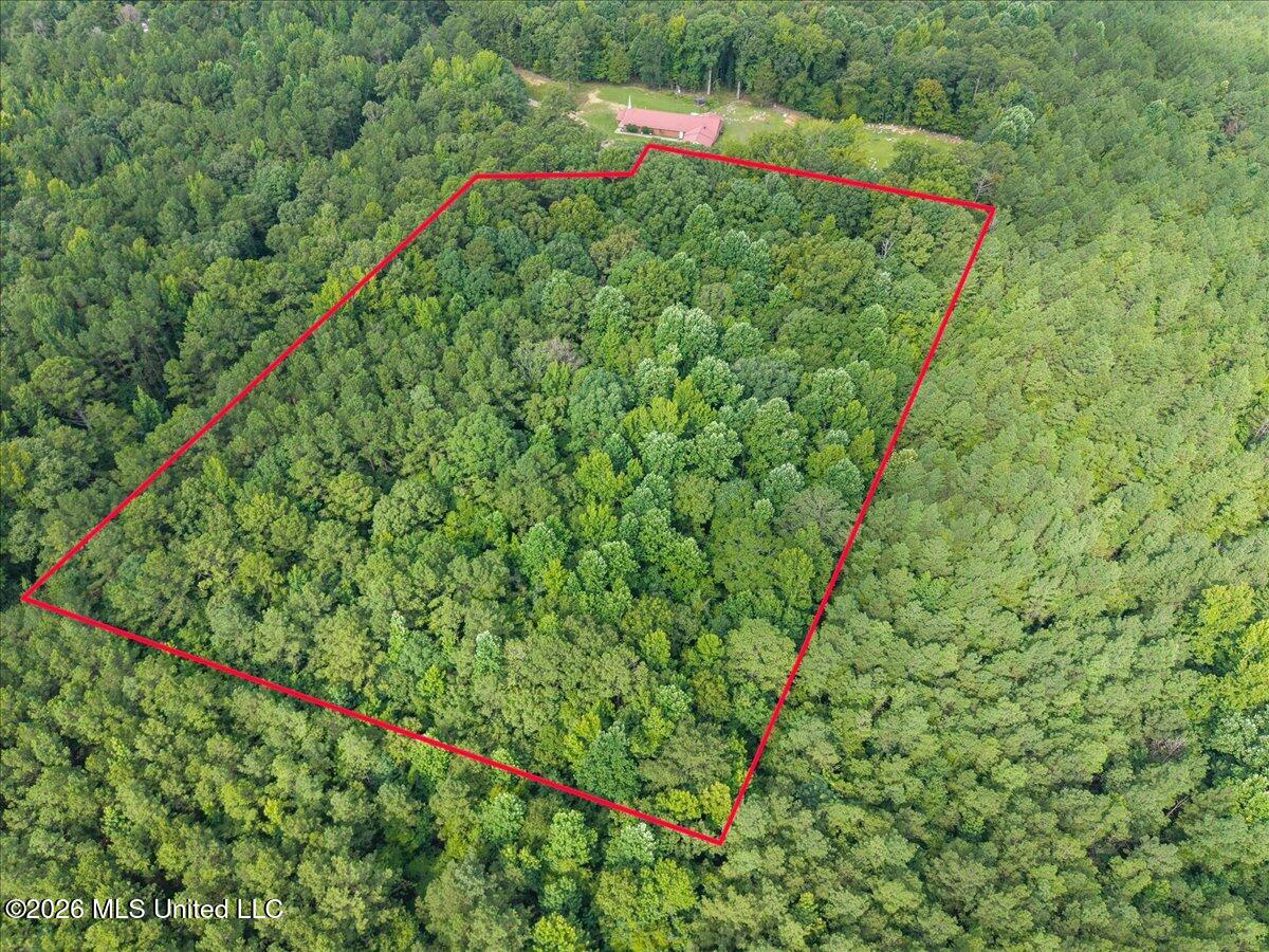 664 Mt Zion Road, Unit 664 Camden, MS 39045 - Photo 4 of 45 01-IMG_3700