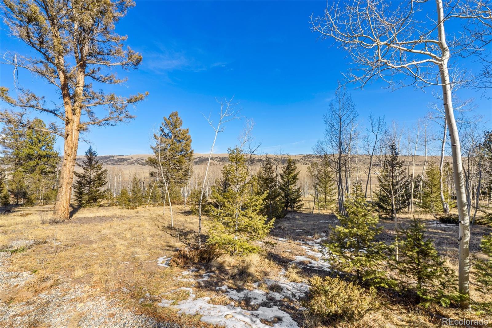 2028 Redhill Road Fairplay, CO 80440 - Photo 38 of 47
