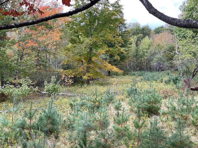 Map4-lot3 East Bucksport Road Orrington, ME 04474 - Photo 16 of 22