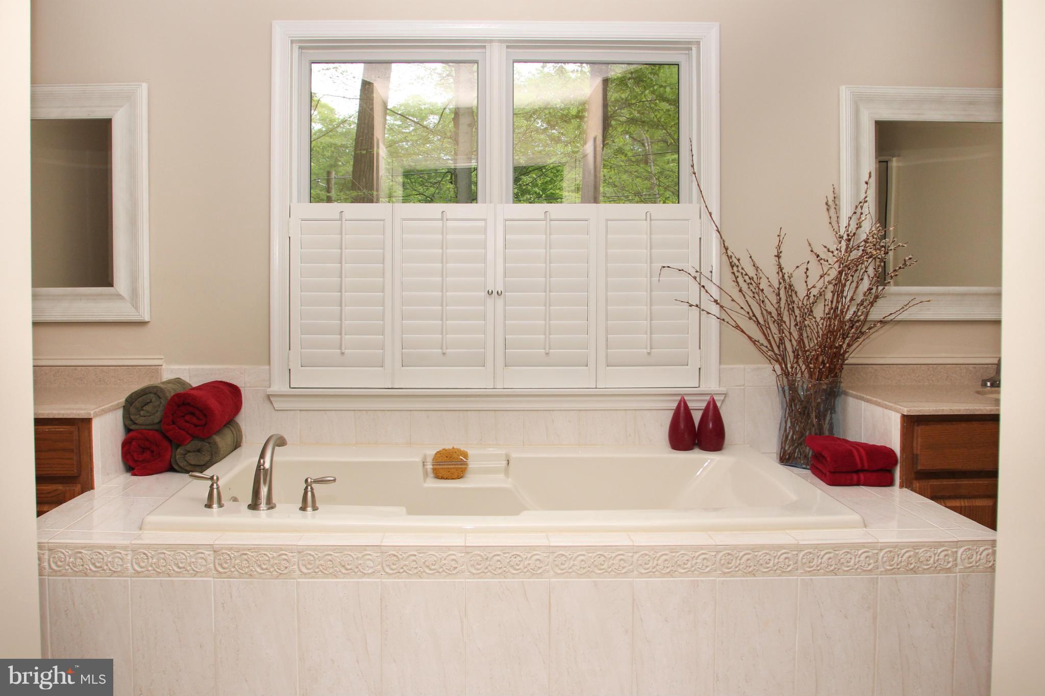 502 East Wheel Road Bel Air, MD 21015 - Photo 12 of 30 Luxury master bath w/ soaking tub