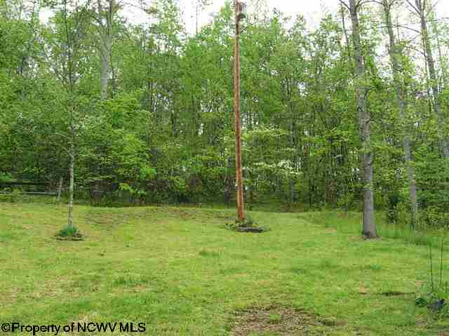 651 Endova Road Rock Cave, WV 26234 - Photo 11 of 19 Gallery Image 11