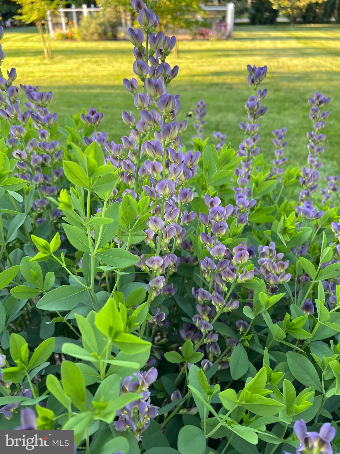 7 Longview Drive Ocean View, DE 19970 - Photo 120 of 125