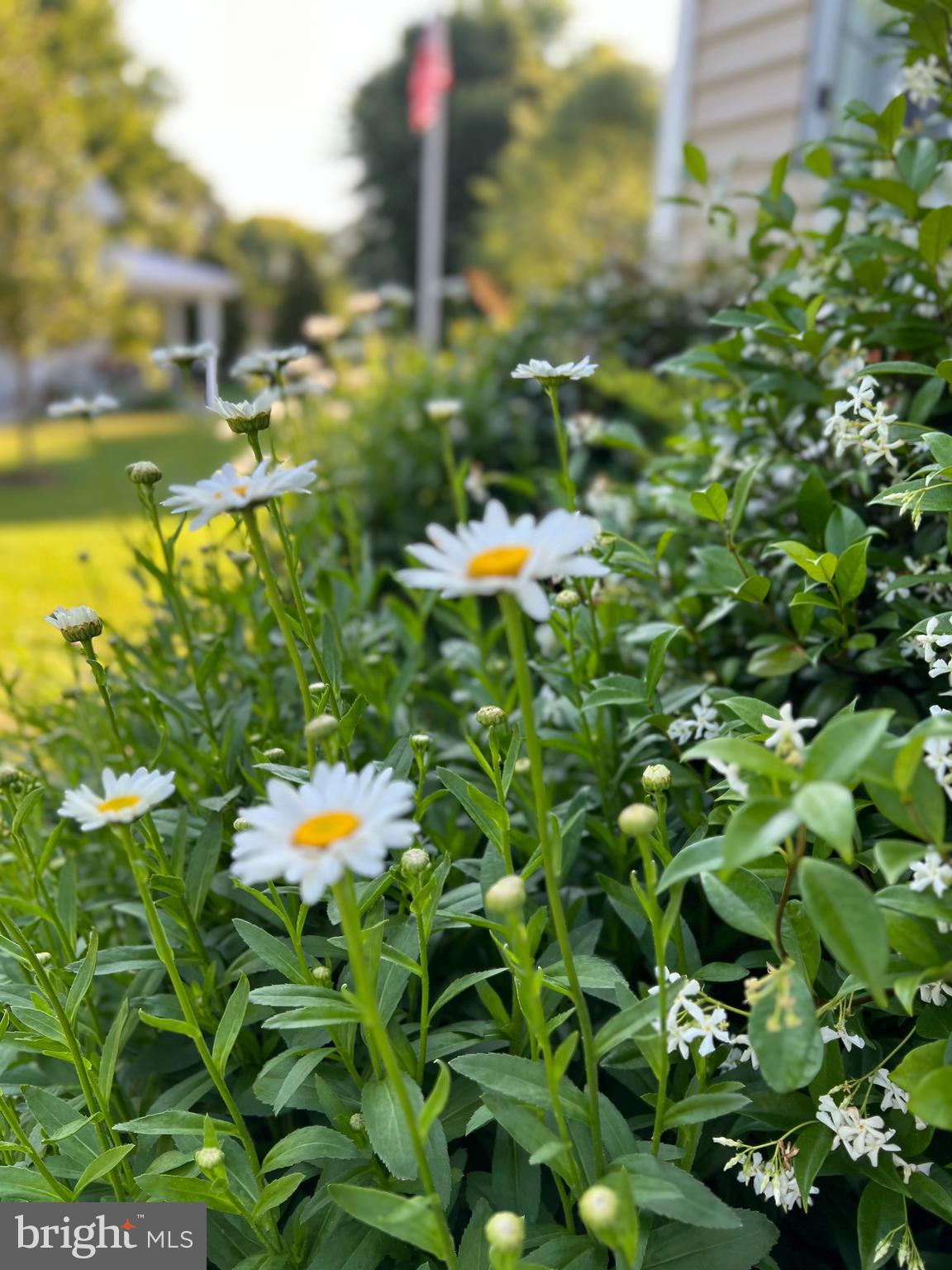 7 Longview Drive Ocean View, DE 19970 - Photo 122 of 125