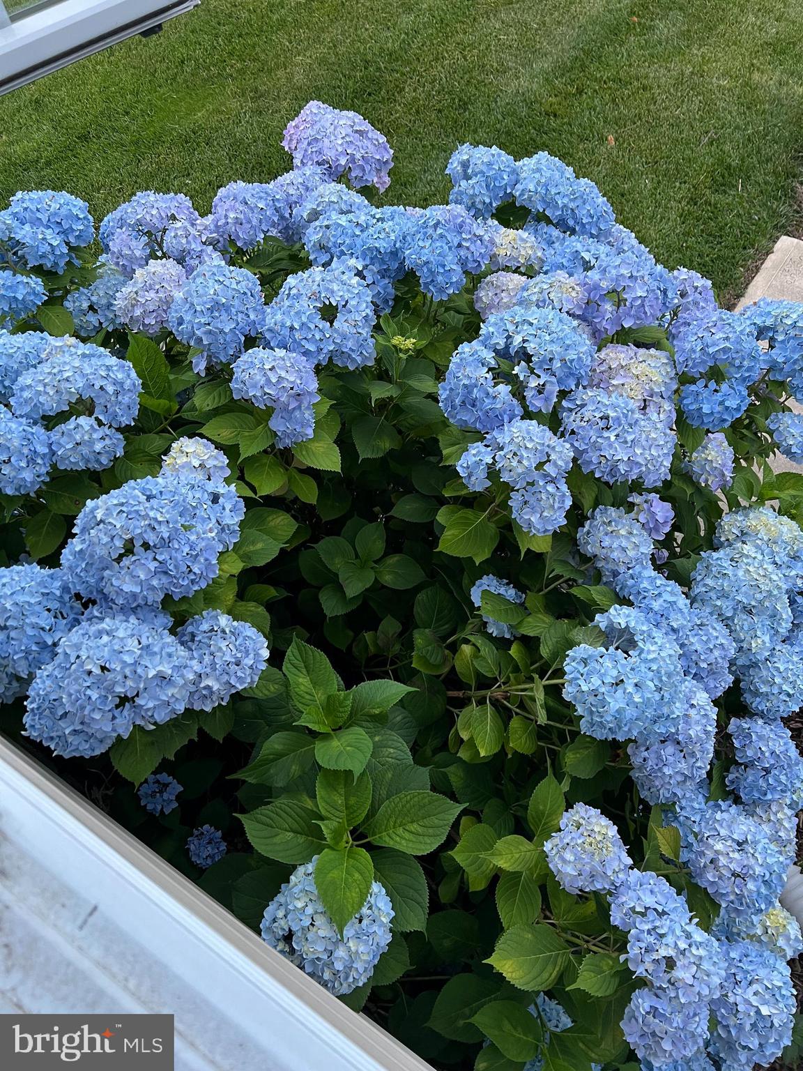 7 Longview Drive Ocean View, DE 19970 - Photo 123 of 125