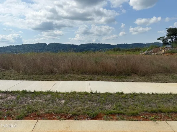 $132,000 | 119 Glaze Farm Way, Unit 17, Johnson City, TN 37601