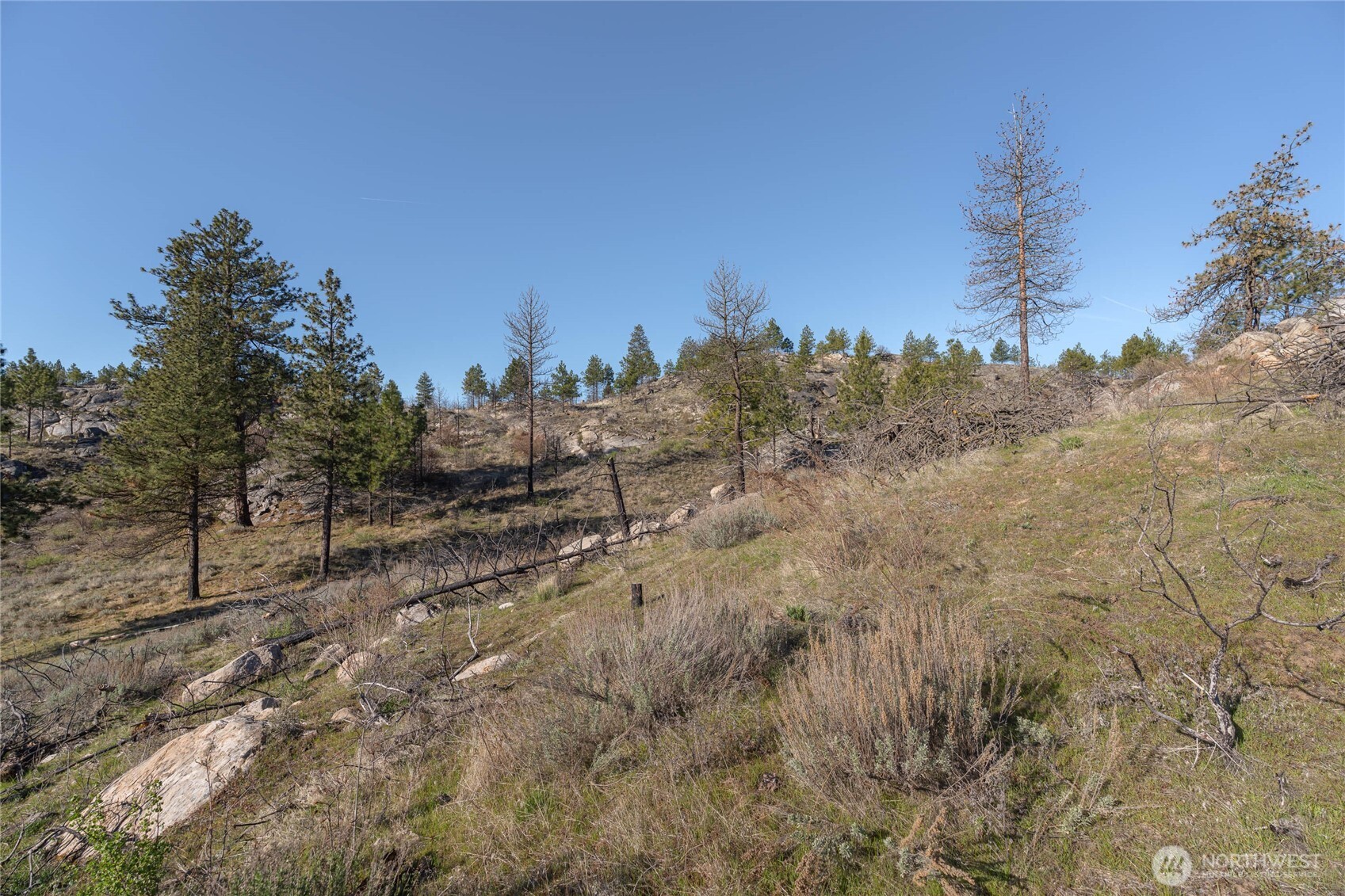 223R Cameron Lake Loop Road, Unit T Okanogan, WA 98840 - Photo 11 of 22 Gallery Image 11