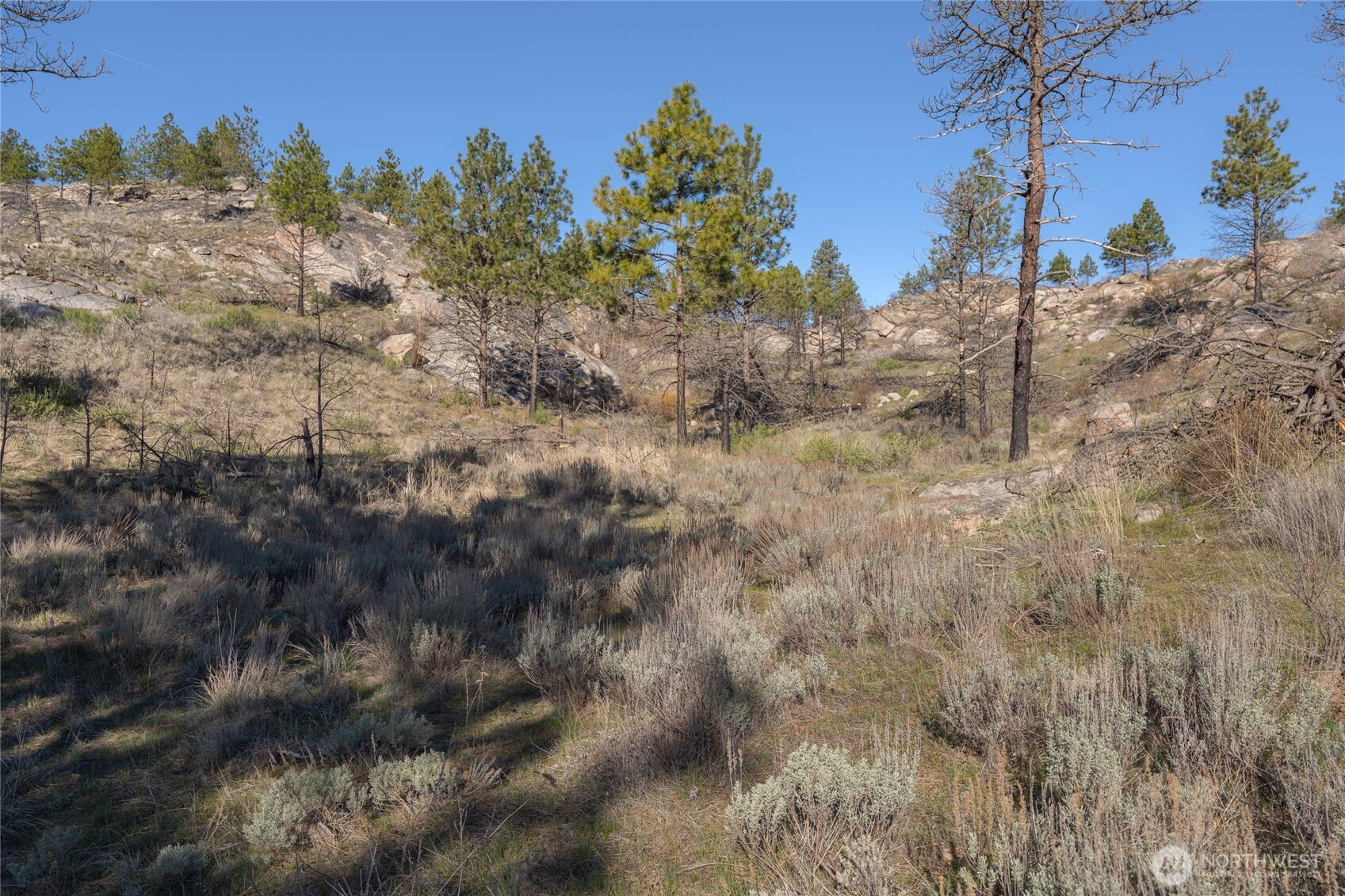 223R Cameron Lake Loop Road, Unit T Okanogan, WA 98840 - Photo 8 of 22 Gallery Image 8