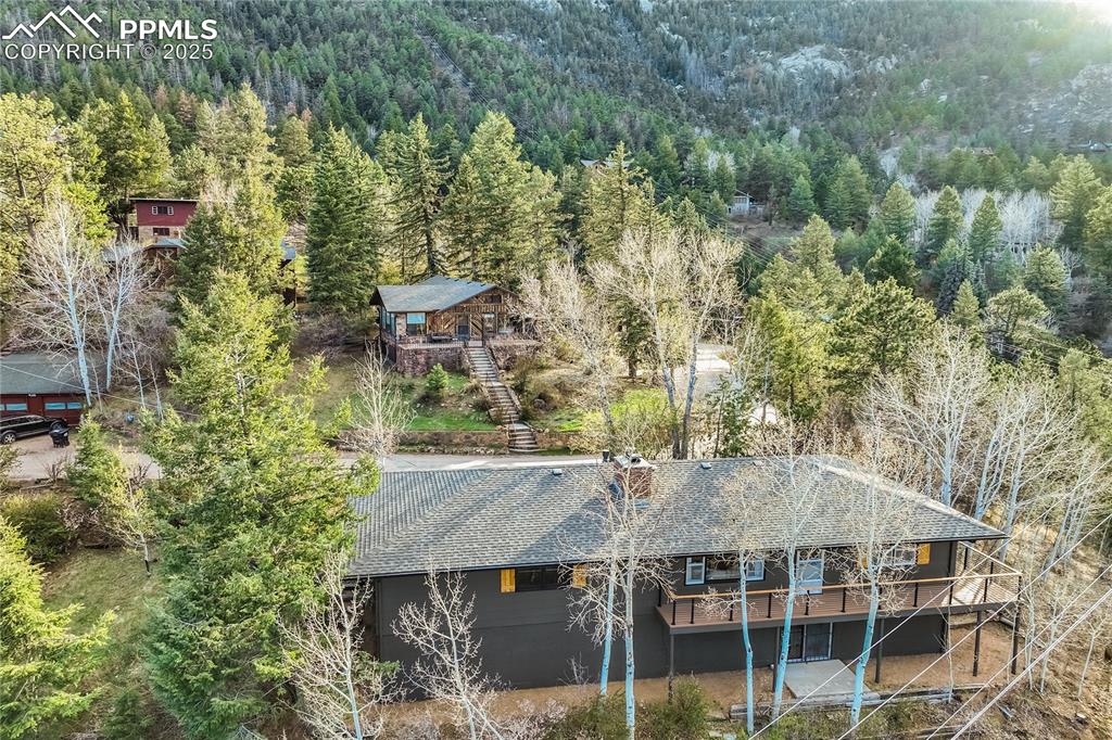 9610 Mohawk Trail Cascade, CO 80809 - Photo 4 of 33