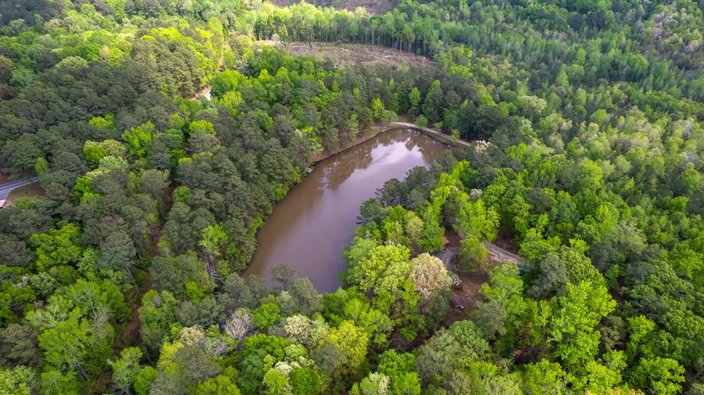 5610 Edgehill Road Sumter, SC 29154 - Photo 10 of 47